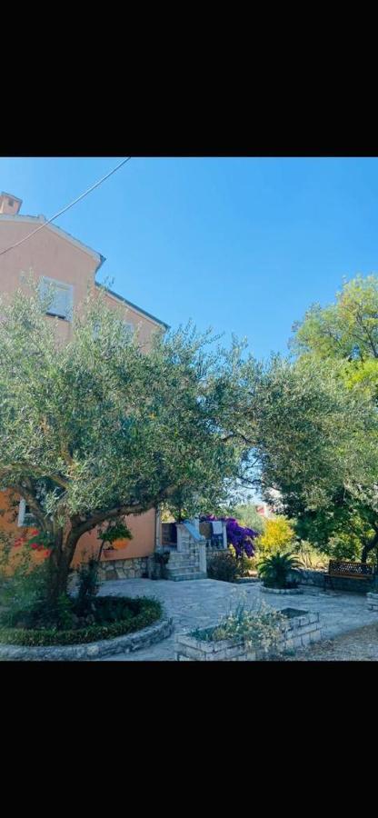 Apartman Nauplie Zadar Exteriér fotografie